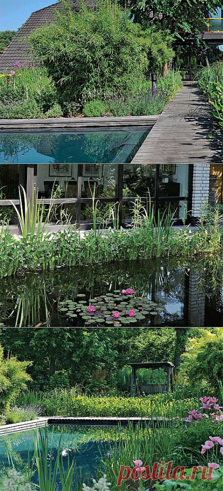 Водный сад супругов Майнхард на Supersadovnik.ru