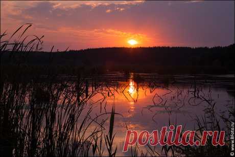 Чудесная музыка для релаксации