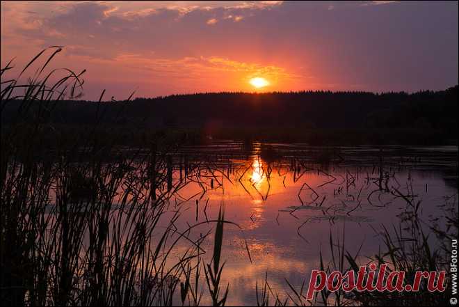 Чудесная музыка для релаксации