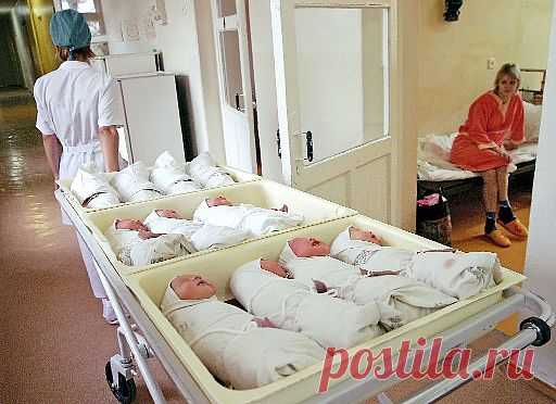 В июле этого года в России зафиксирован РЕКОРДНЫЙ естественный прирост населения