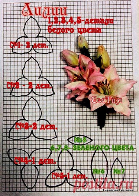 -haPm7Hmz8I.jpg (718×1015)