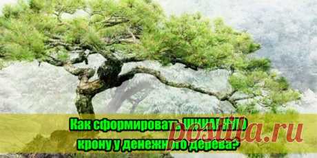 (48) Одноклассники
