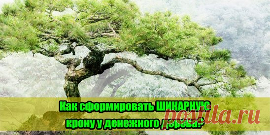 (48) Одноклассники