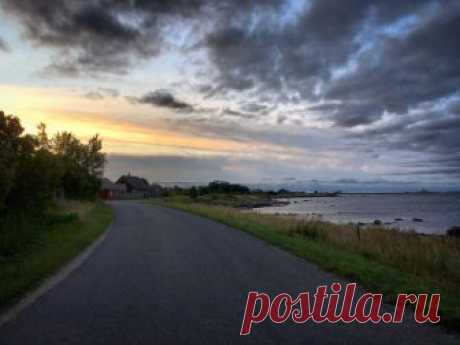 Совершайте ошибки - выходите из комнат! (Дикая Собака Динго) / Стихи.ру