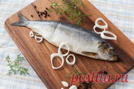 Великолепные рецепты засолки сельди, которые подходят для скумбрии или другой рыбы | Кулинарные записки обо всем | Яндекс Дзен