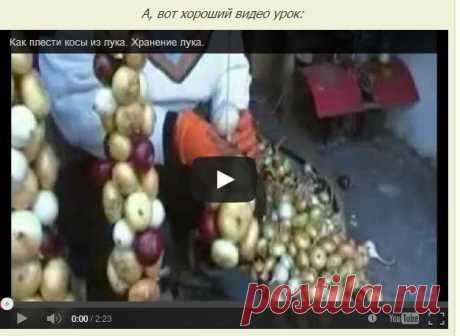 Как плести косы из лука.