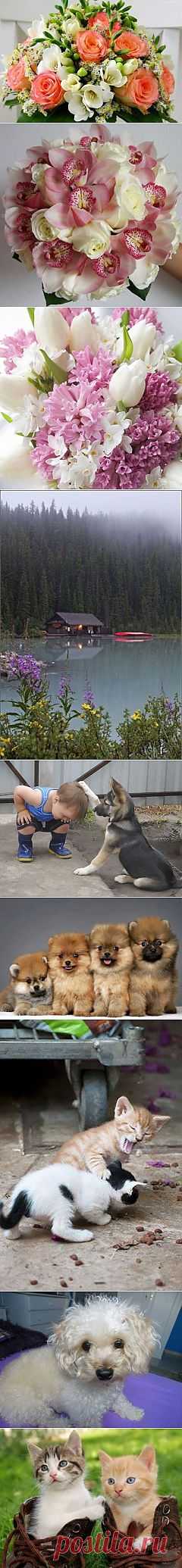 (2) Facebook