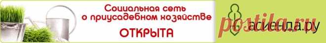 5 симорон ритуалов для привлечения работы – ритуалы, чтоб найти работу: Симорон: Группы - diets.ru