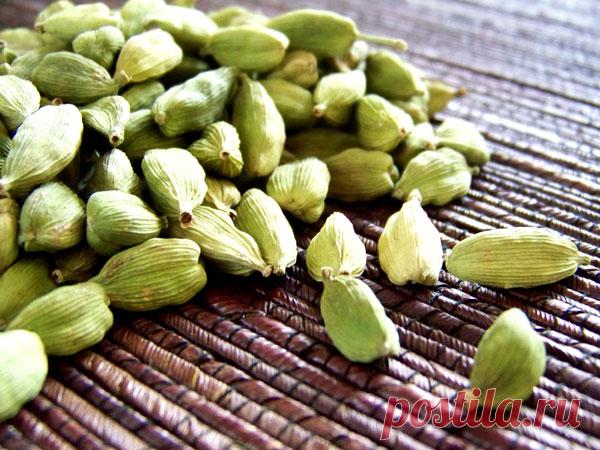 Кардамон — полезные свойства и использование для похудения