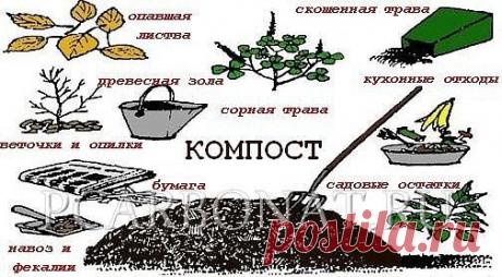 Как приготовить хороший компост
Для приготовления хорошего компоста рассыпчатой мелкокомковатой 
структуры компостную кучу закладывают так, чтобы, не превращаясь в груду
 гниющих отбросов, она обеспечивала быстрейшее разложение органических 
веществ. Интенсивное разложение исходных веществ под действием бактерий и
 грибов возможно лишь при наличии воздуха, влаги и азота. Воздух 
поступает через основание и боковые стенки кучи.
При появлении признаков подсыхания массу увлажняют с помощью лейки ил