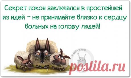 интересные картинки с надписями со смыслом : 14 тыс изображений найдено в Яндекс.Картинках