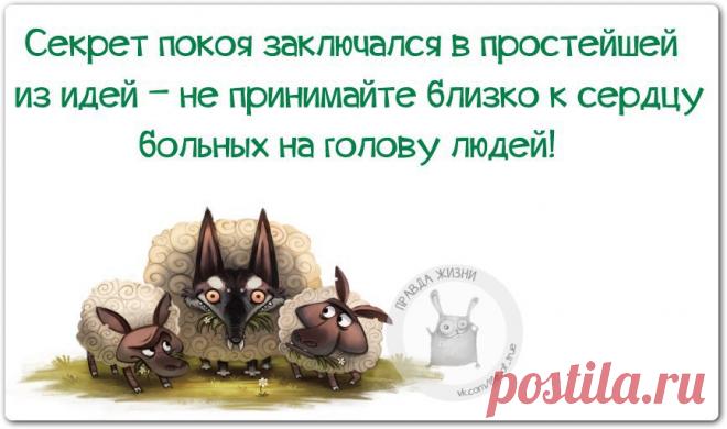 интересные картинки с надписями со смыслом : 14 тыс изображений найдено в Яндекс.Картинках
