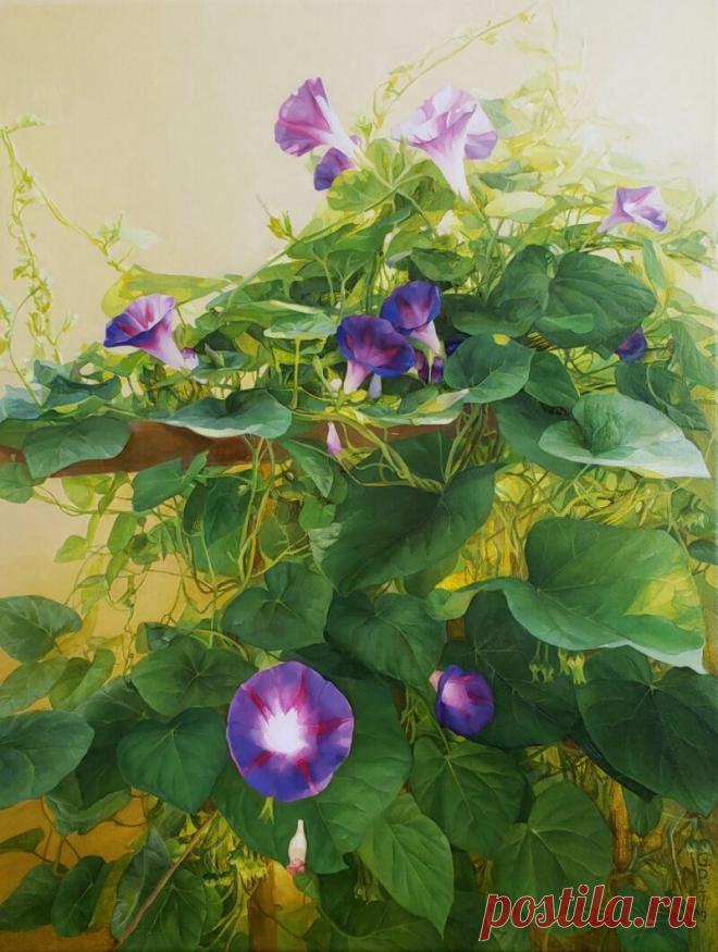 “Мне так хочется, чтобы мои картины стали глотком свежего воздуха для многих людей.”- Гелена Павленко.
 Гелена Павленко родилась в 1969 году в Киеве. Окончила в 1986 году Украинскую республиканскую школу искусств в Киеве. Продолжила учебу в Санкт-Петербурге в СХШ им. Йогансона при Российской Академии Художеств. В 1996 г. окончила Национальную академию изобразительного искусства и архитектуры (НАОМА) в Киеве. С 1998 г. член Национального Союза художников Украины.В настоящее...