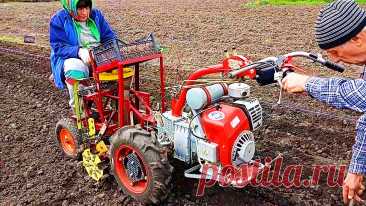 Если на грядке пот льет градом, он может побить урожай 😜😎😂