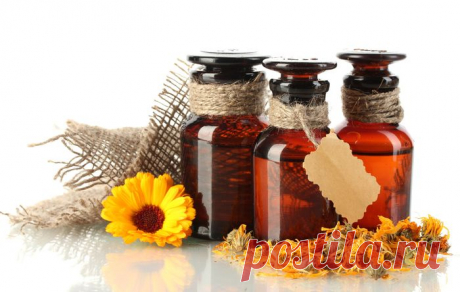 ♥ღ♥Цветок красоты и здоровья — календула♥ღ♥