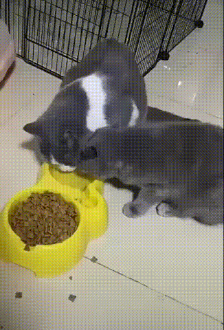 ... / Юмор / Смешно / Pinme.ru