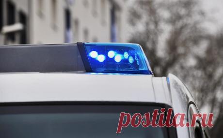 В Германии произошла стрельба у начальной школы. В городе Брамше в земле Нижняя Саксония в Германии произошла стрельба у здания школы, два человека получили серьезные ранения.