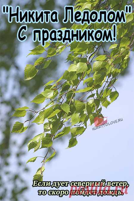 Никита Ледолом! Теплой погоды! Хорошего настроения!