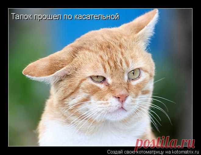 Интересные новости