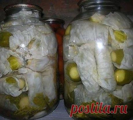 Огурцы в капустных листьях на зиму