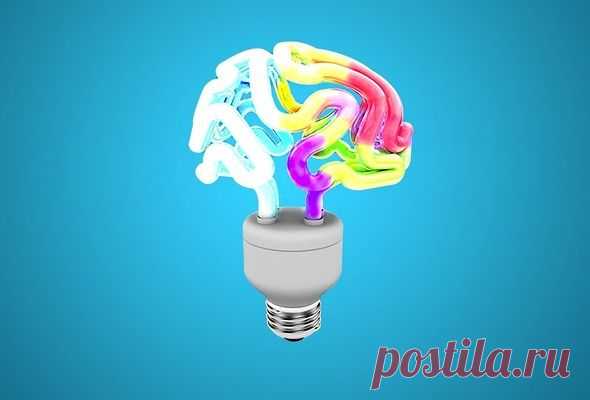Как предотвратить застывание и деградацию разума.