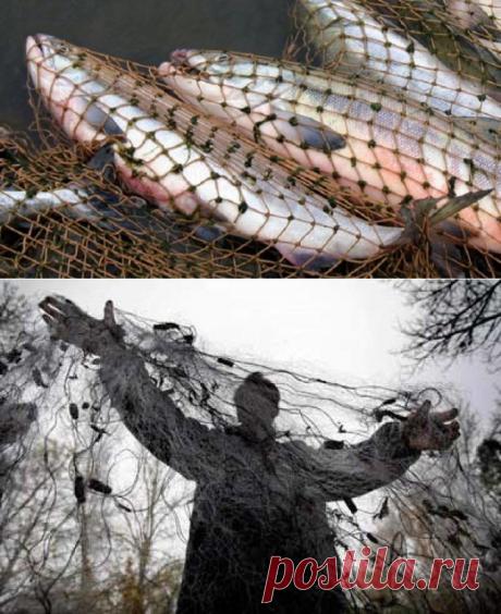 Незнание закона не освобождает от ответственности. Браконьерские снасти
