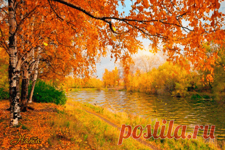 Мир Музыки ▷ ▶ 🎧 - Группы Мой Мир