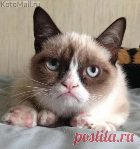 Я - красавчик и отношусь к этому серьёзно