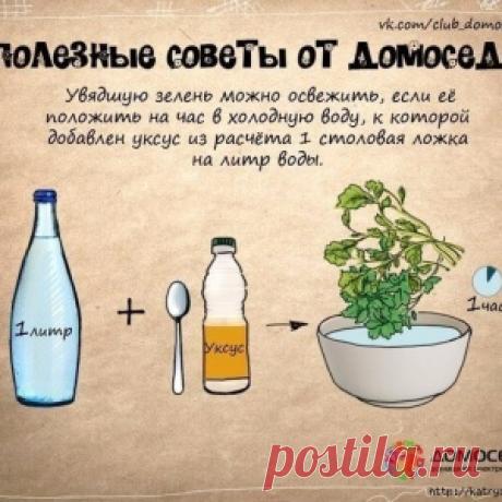 ПОЛЕЗНЫЕ СОВЕТЫ - МирТесен