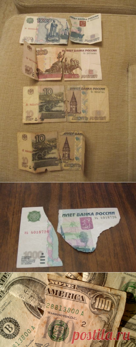 Что делать, если порвал купюру: правила обмена