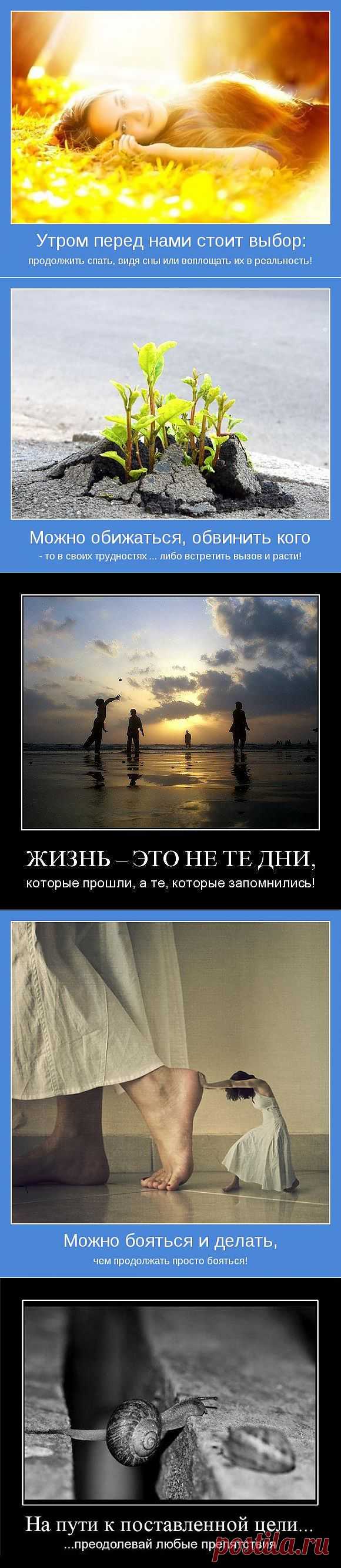 Мотивационные постеры. Мотиваторы со смыслом и приколы » Страница 2