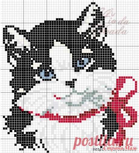 Кошки, котята, коты. Вышивка крестиком