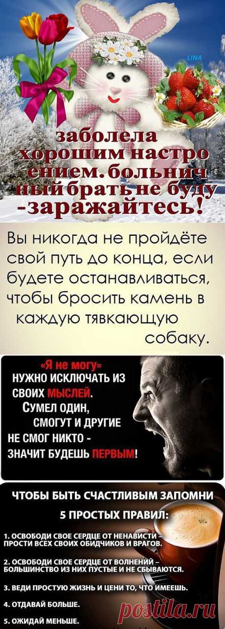 Сборник позитивных статусов и цитат в картинках (45 фото)