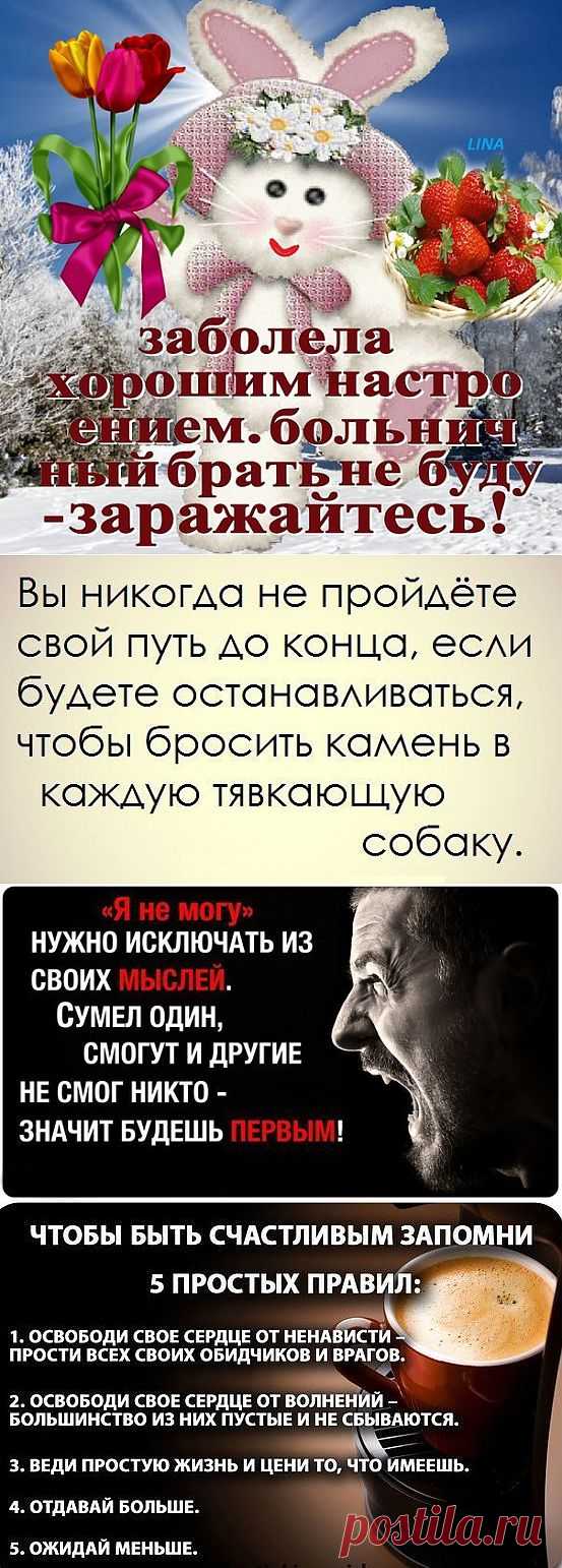 Сборник позитивных статусов и цитат в картинках (45 фото)