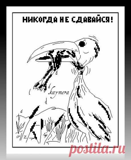 chch.ru (бывший gallery.ru) / Ни когда не сдавайся! - Бесплатные схемы - kaymera