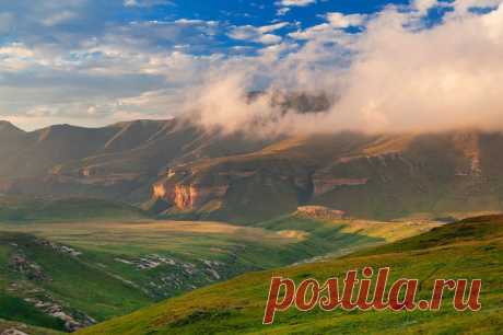 Удивительная Природа! - 22 Января 2016 - Персональный сайт