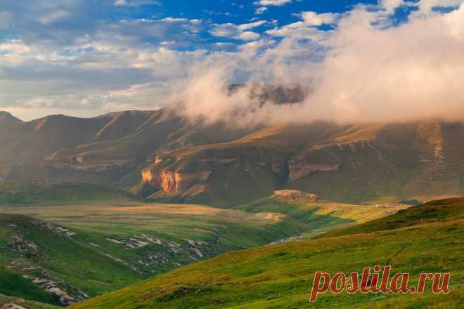 Удивительная Природа! - 22 Января 2016 - Персональный сайт