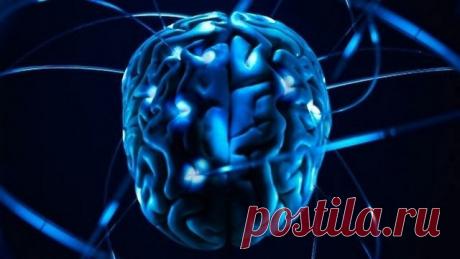 Невероятные факты о человеческом теле. Мозг | Наука и техника