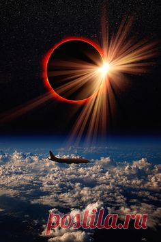Amazing pic