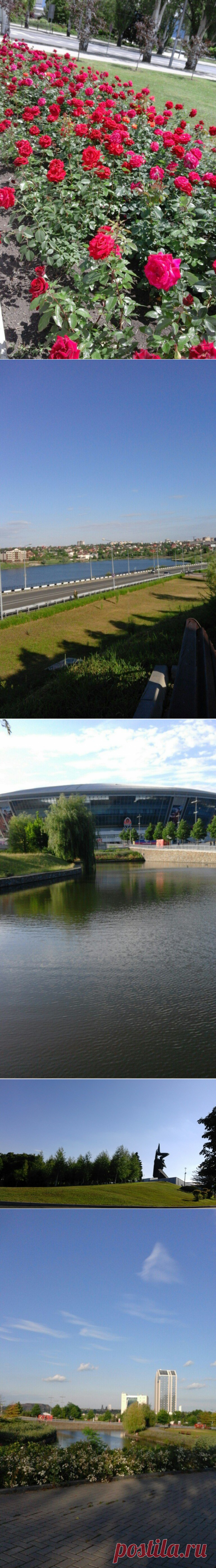 донецкие розы