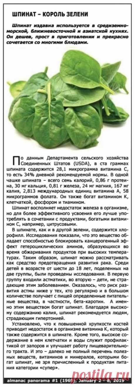 Шпинат - король зелени