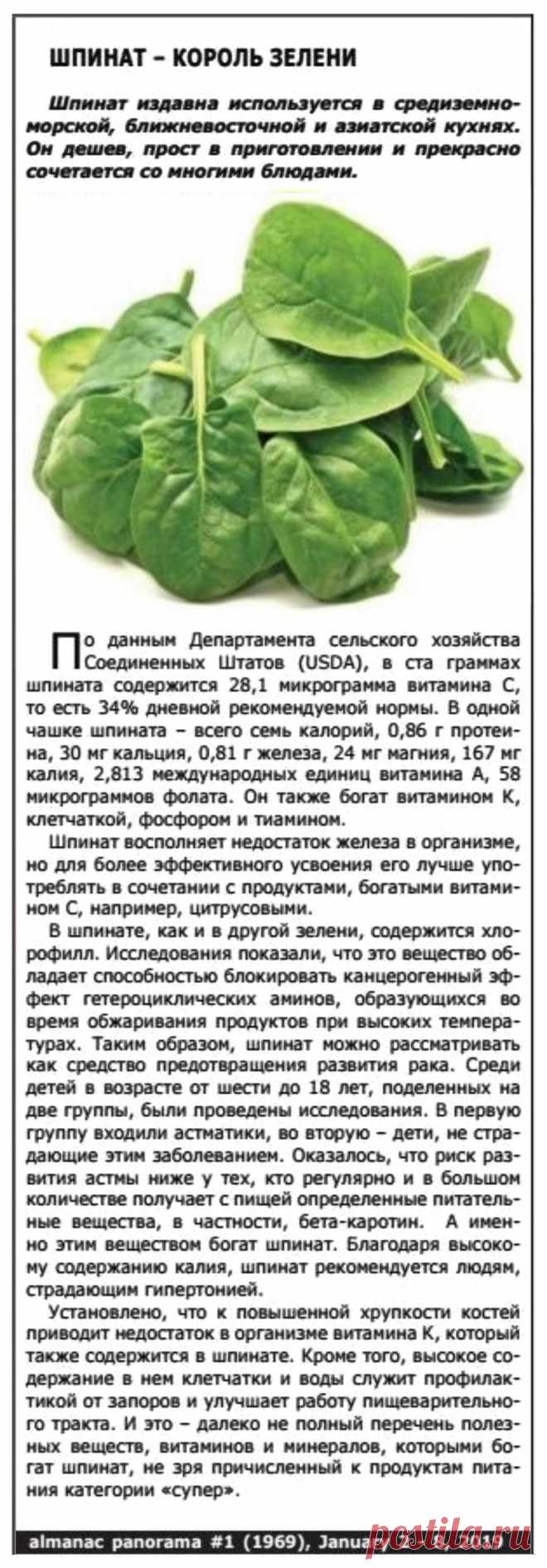 Шпинат - король зелени