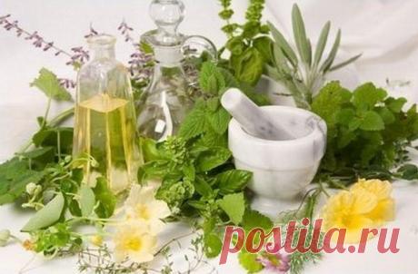 Считалка-напоминалка народного лекаря.