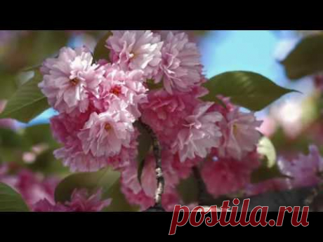 Just For YOU - Ernesto Cortazar