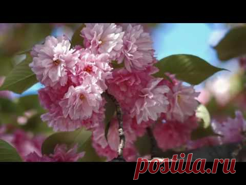 Just For YOU - Ernesto Cortazar