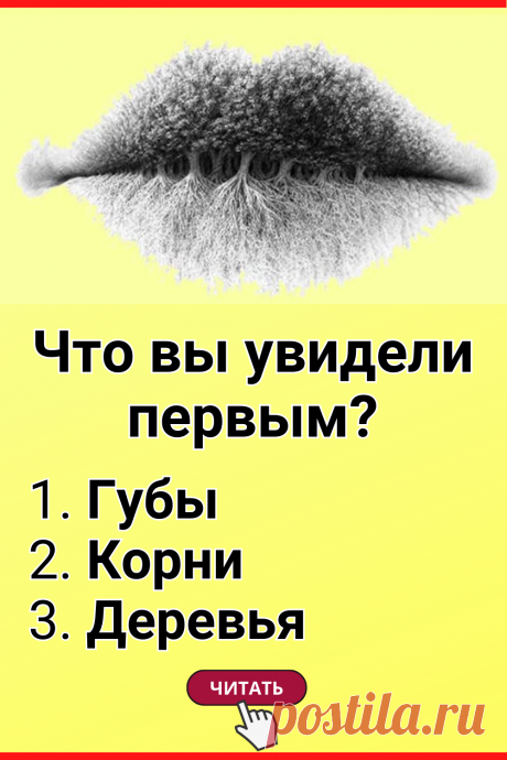 Тест: То, что вы увидели на картинке в первую очередь, расскажет о вас лучше любого психолога
#тест #интересные_тесты #тесты_личности #викторина #психология #психология_развития #личностное_развитие #загадки #головоломки #интересный_тест #самопознание #саморазвитие #психологический_тест