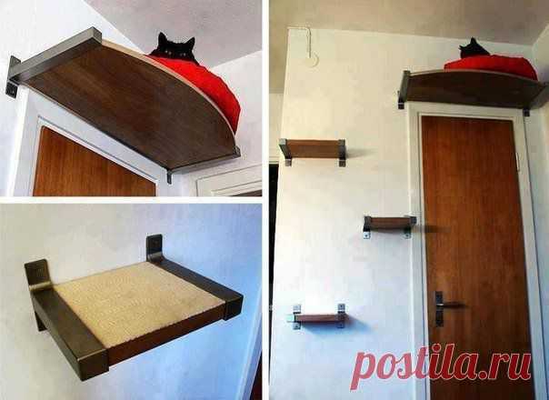 Идеальная Хозяюшка