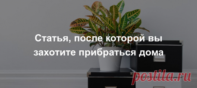 Новости