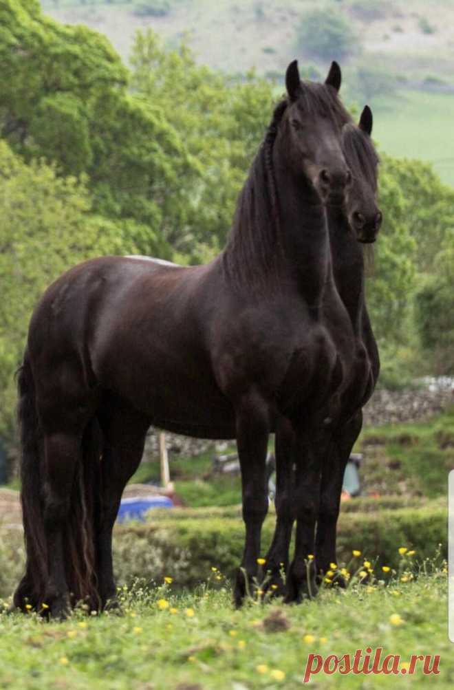ღ