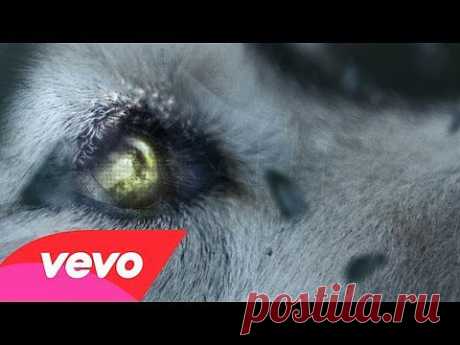 ▶ David Guetta - She Wolf (Falling To Pieces) ft. Sia - YouTube